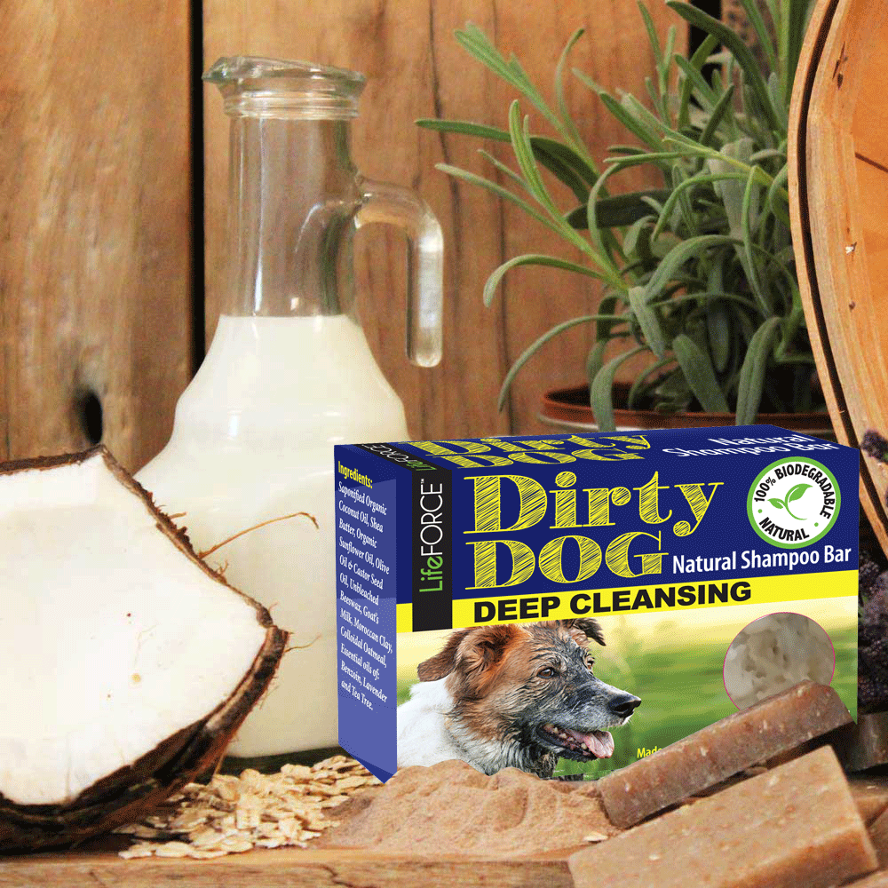 Dirty Dog Shampoo Bar Case of 6
