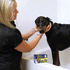 products/Dirty-Dog-New-Packaging-2_9c2c9f27-167c-4c5e-9641-487cce9c762b.gif