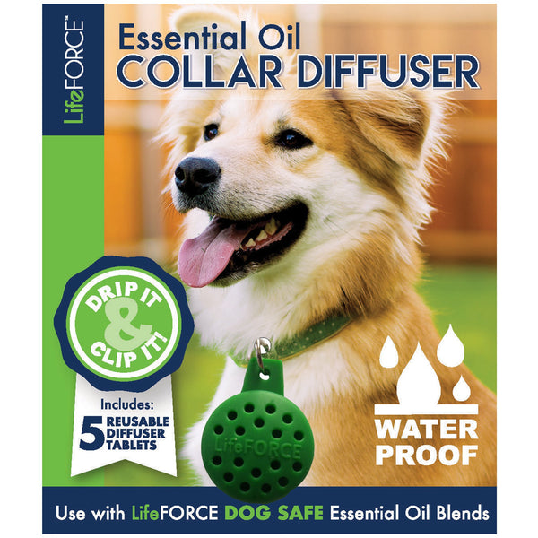 Essential Oil Collar Diffuser - Case of 6