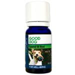 Aromatherapy On The Go! POP Display