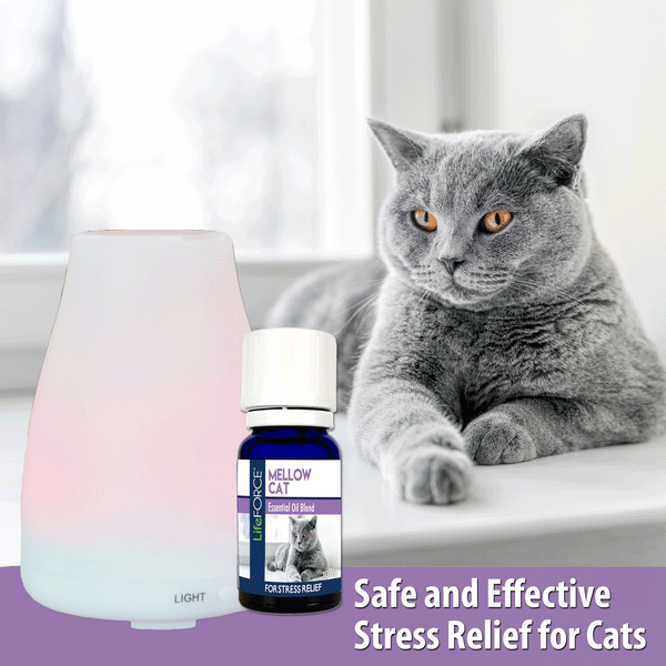 Mellow Cat Essential Oil Blend 10ml - Case of 6