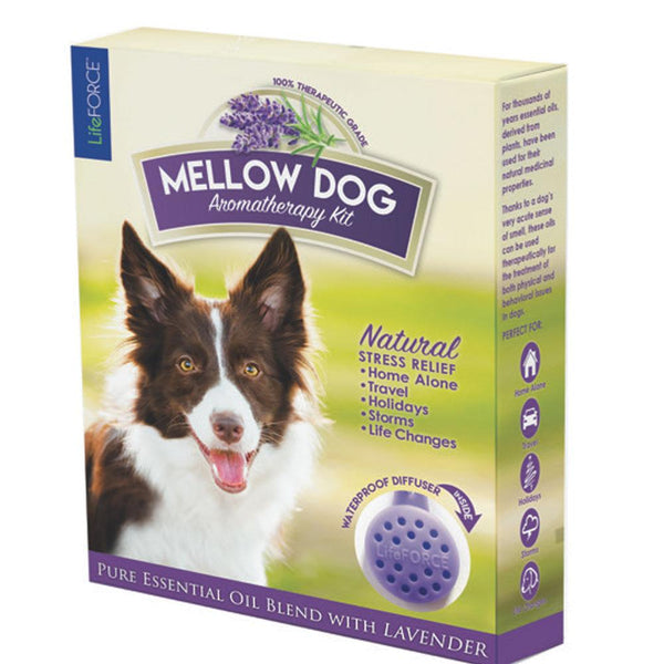 Mellow Dog Aromatherapy Kit POP Display