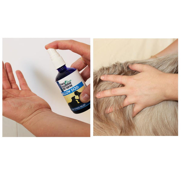 Skin Aid Spray - Case of 6