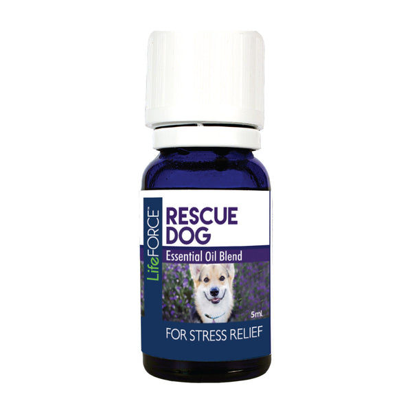 Rescue Dog Aromatherapy Kit POP Display