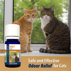 Smelly Cat Essential Oil Blend 10ml - Case of 6