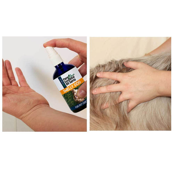 Smelly Dog Essential Oil Spray 100ml - Case of 6