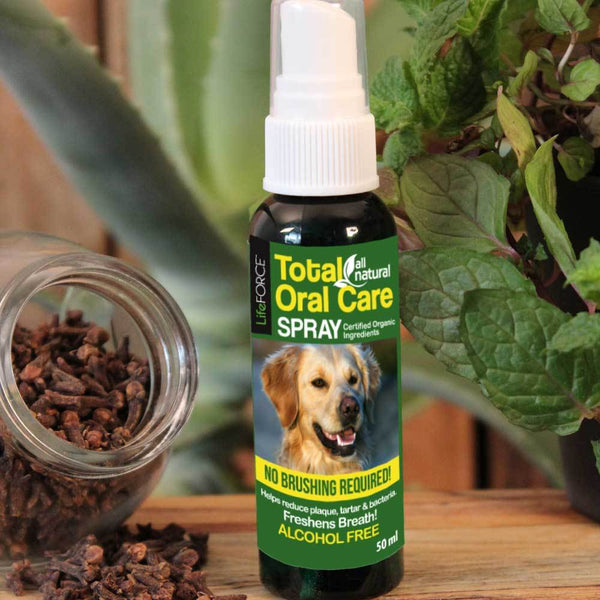 Total Oral Care Spray - Case of 6