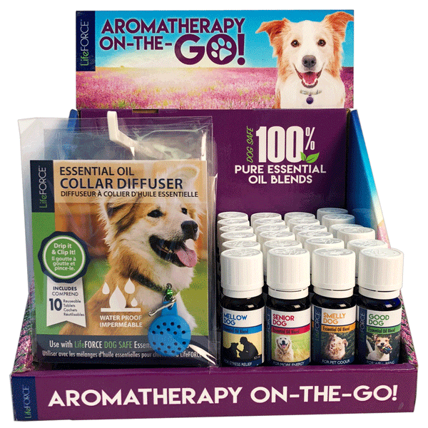 Aromatherapy On The Go! POP Display