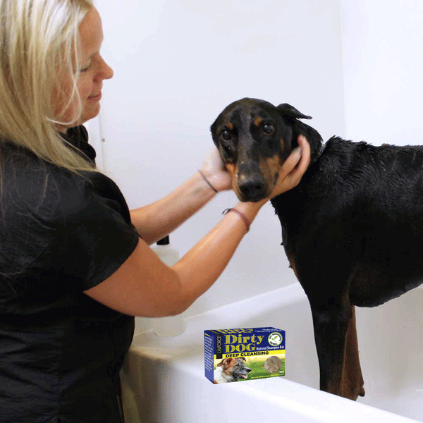 Dirty Dog Shampoo Bar Case of 6