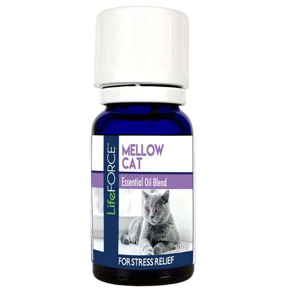 Mellow Cat Essential Oil Blend 10ml - Case of 6