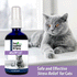 Mellow Cat Essential Oil Spray 100ml - Case of 6