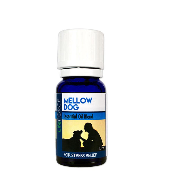 Mellow Dog Aromatherapy Kit POP Display